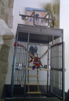 הרהיט החדש בסלון.. A11 :)