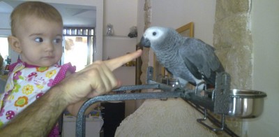 איזה חמודים!