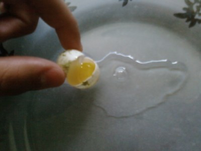 שבורה(בפנים החלמון)