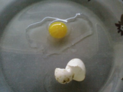 הקליפה שבורה ולידה מה שבפנים