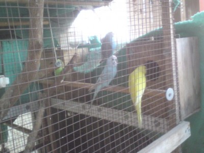 DSC01327 (648 x 486).jpg