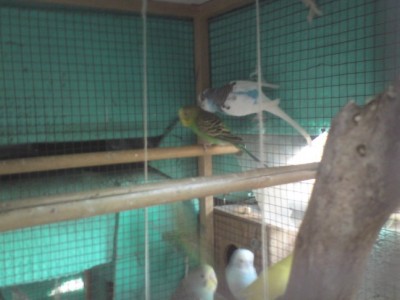 DSC01328 (648 x 486).jpg