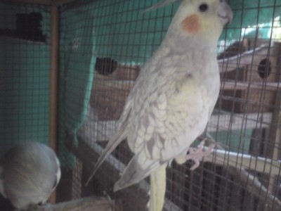 DSC01333 (648 x 486).jpg