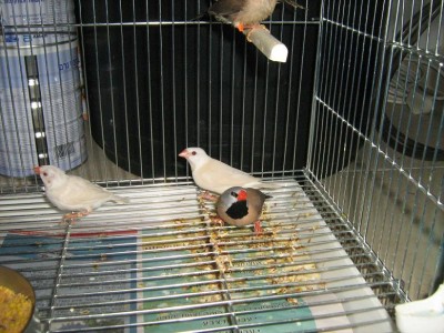 IMG_2175.JPG
