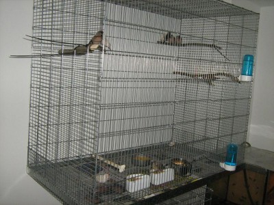 IMG_2185.JPG