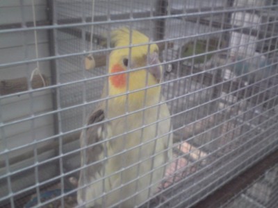 DSC01455 (648 x 486).jpg