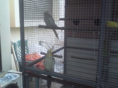 DSC01457 (648 x 486).jpg