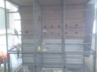 DSC01459 (648 x 486).jpg