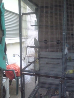 DSC01460 (486 x 648).jpg