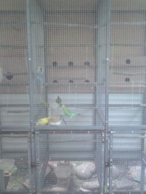 DSC01461 (486 x 648).jpg