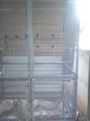 DSC01462 (486 x 648).jpg