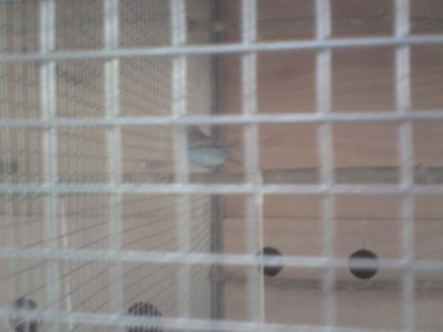 DSC01465 (648 x 486).jpg