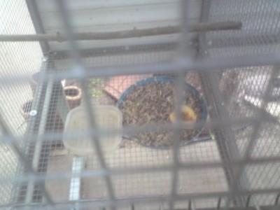 DSC01466 (648 x 486).jpg