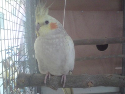 DSC01467 (648 x 486).jpg