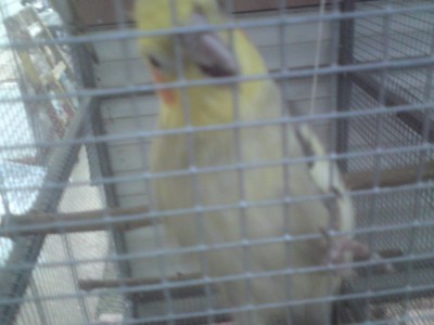 DSC01468 (648 x 486).jpg