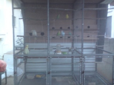 DSC01470 (648 x 486).jpg