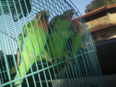 DSC01504 (648 x 486).jpg