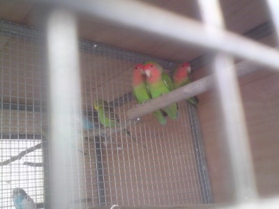 DSC01506 (648 x 486).jpg