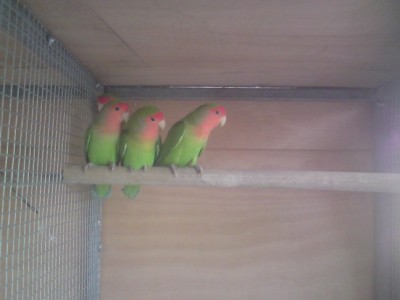 DSC01507 (648 x 486).jpg