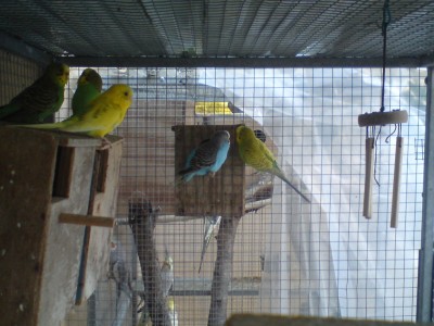 זוג תוכונים (זה שהלך מכות)