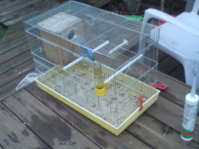 הכלוב ששמתי את הזוג השני (זה עם הביצים)