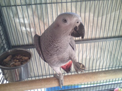 לוקו בפוזה חמודה