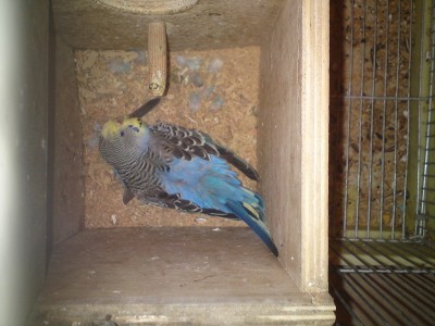 כי אין בעולם אהבה כמו אהבה של אמא!!!