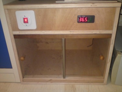 האומנת מבחוץ