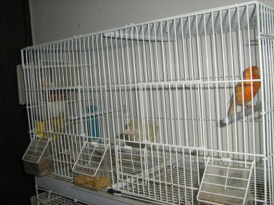 IMG_2274.JPG