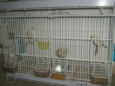 IMG_2275.JPG