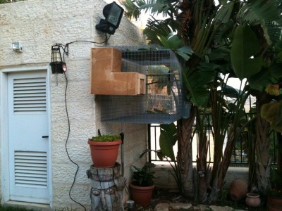 ׳׳™׳™׳₪׳•׳ 296.jpg