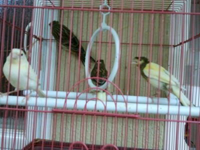 2011-03-22 21.08.26.jpg