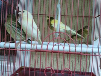 2011-03-22 21.08.51.jpg
