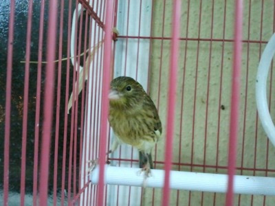 2011-03-22 21.09.47.jpg