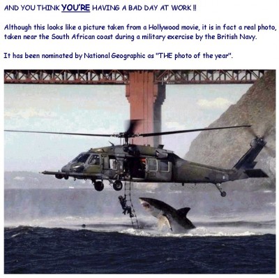 גרוע בעבודה.jpg