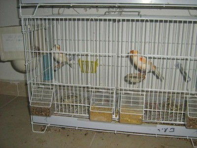 IMG_2290.JPG