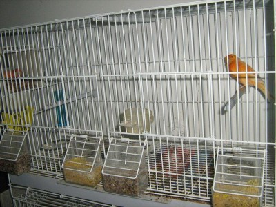 IMG_2291.JPG