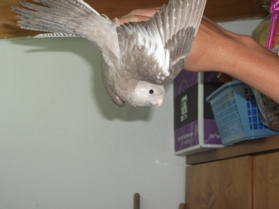 בדיוק לפני המראה