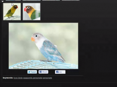 כאן צריך להגדיל קצת , כי אי אפשר להעתיק מהאתר ...