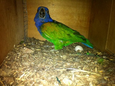 ׳׳™׳™׳₪׳•׳ 664.jpg