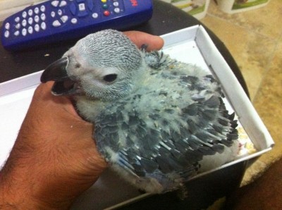 ׳׳™׳™׳₪׳•׳ 668.jpg