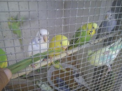 תוכונים 1.JPG