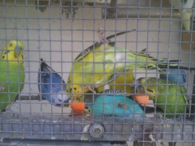 תוכונים 3.JPG