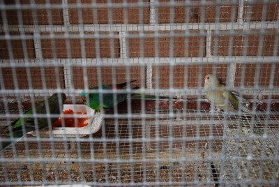 DSC_0043.jpg