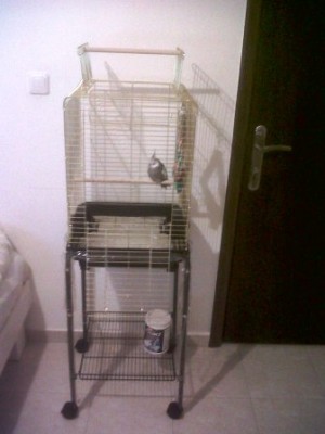 כלוב להאכלת יד