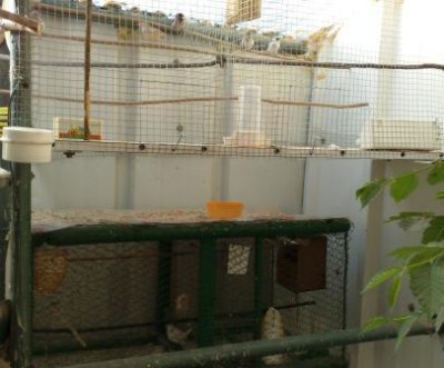 22042010266.jpg
