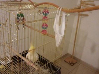 חליפת טיסה - הרגלה