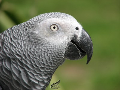 IMG_4924-1.jpg