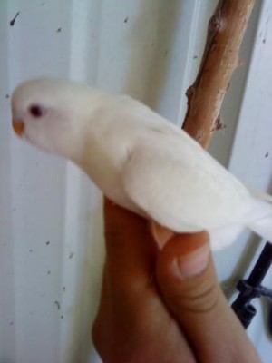 בגיל חודש.jpg