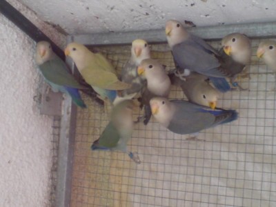 תמונה של הנסיכים שלי